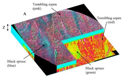 Hyperspectral remote sensing
